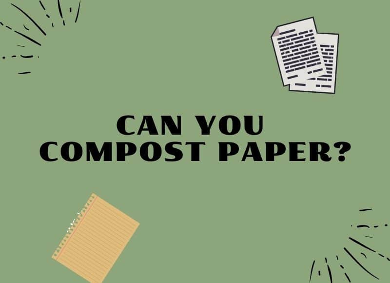 Does Compost Turn Into Soil? Here's All You Need To Know
