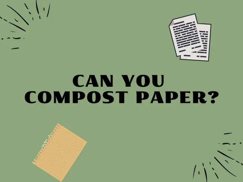 can you compost paper?