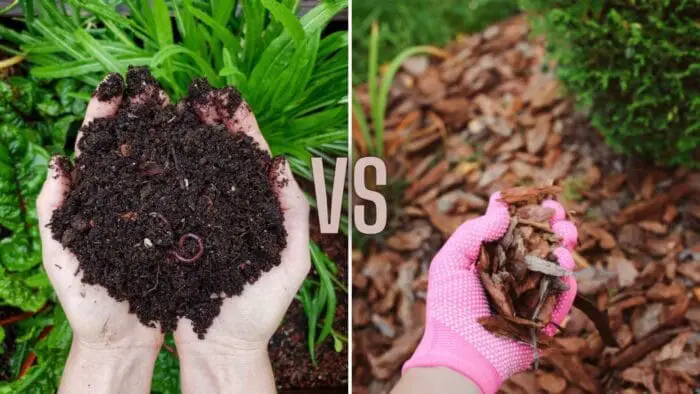 compost vs mulch