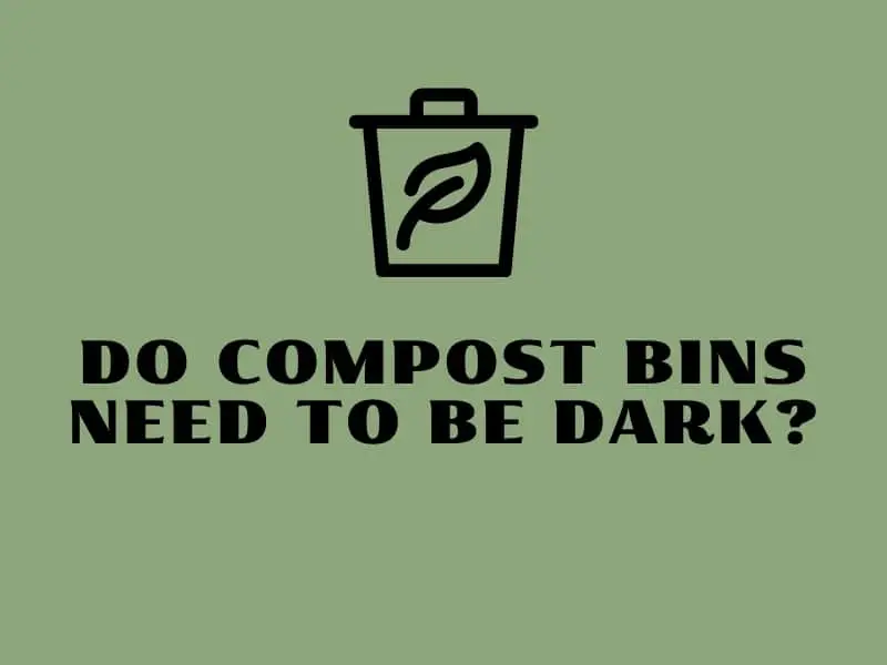 do compost bins need to be dark