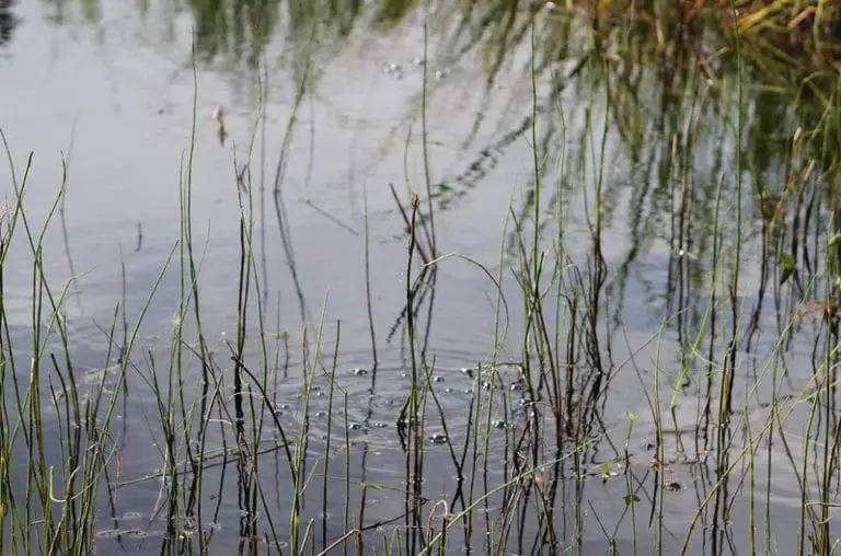 Does Compost Produce Methane?