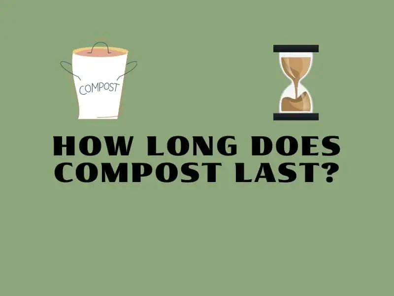 how long does compost last