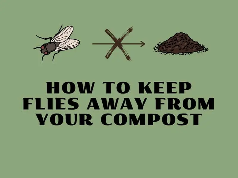 how to keep flies away from your compost