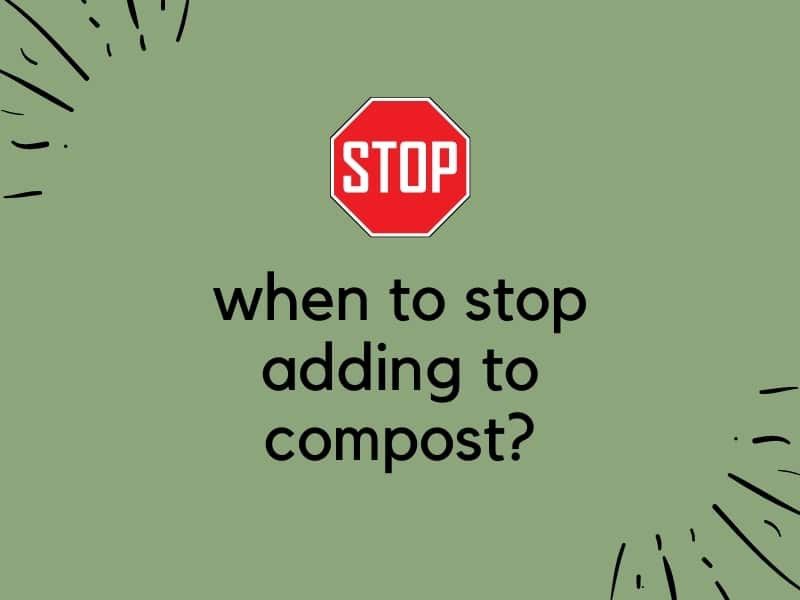 when to stop adding to compost