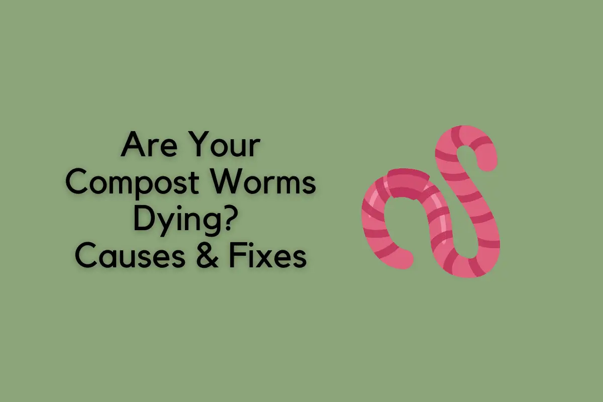 are compost worms dying?