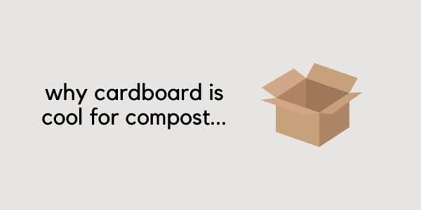 why use cardboard