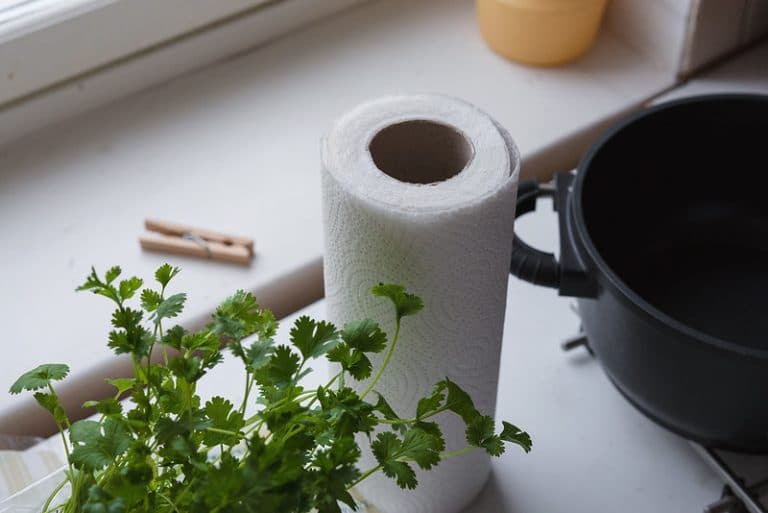 Can You Compost Paper Towels? Key Insights and Considerations