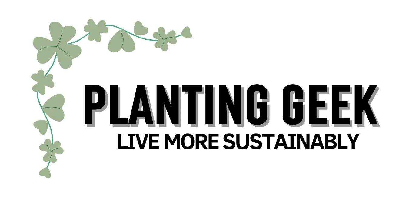 What Compost is Best For Acers? Key Considerations