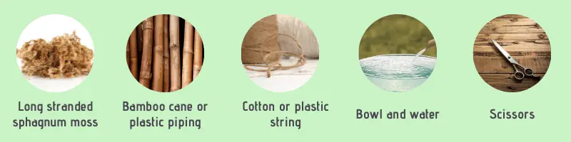 Long stranded sphagnum moss, bamboo cane or plastic piping, cotton or plastic string, bowl and water, scissors