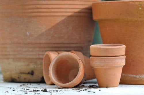 Terracotta Pot