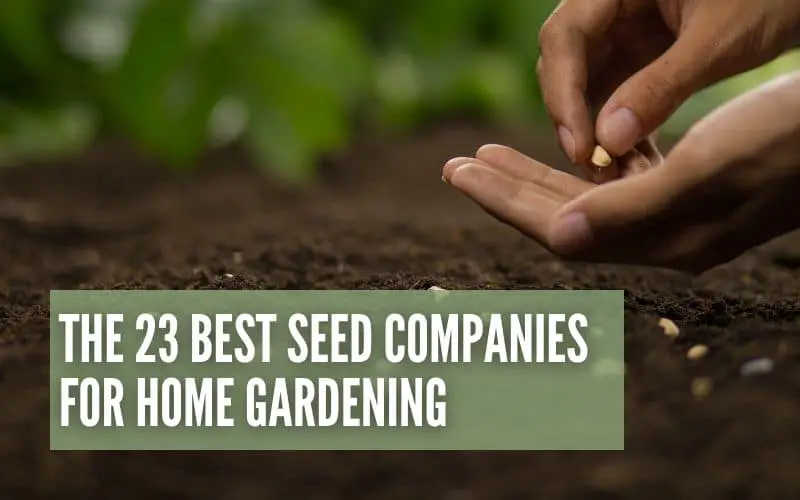 The 23 Best Seed Companies For Home Gardening